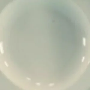 Vedd meg online Menza porcelán mélytányér 22 cm